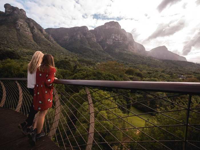 In Cape Town, South Africa, the Kirstenbosch National Botanical Garden features a winding walkway that gives visitors a view from above the trees.