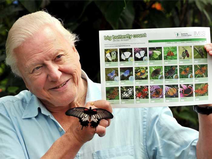 Start off by learning about the world with Sir David Attenborough.