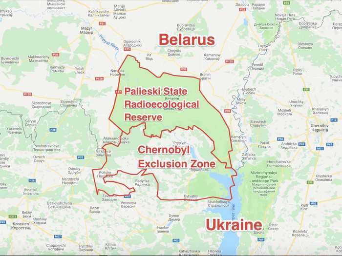 ... which adjoins the exclusion zone in neighboring Belarus, known as the Palieski State Radioecological Reserve. Though the explosion took place in Ukraine, much of the radiation from the Chernobyl disaster was blown north to Belarus.