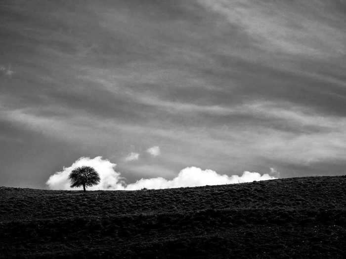 All the photos are taken in black and white because, "when there is no color, shapes can tell the message better," he said.