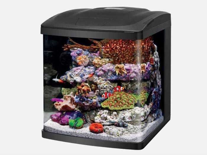 The best nano reef tank