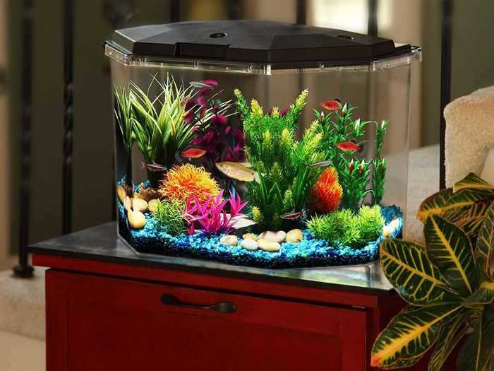 Check out our other great aquatic pet buying guides