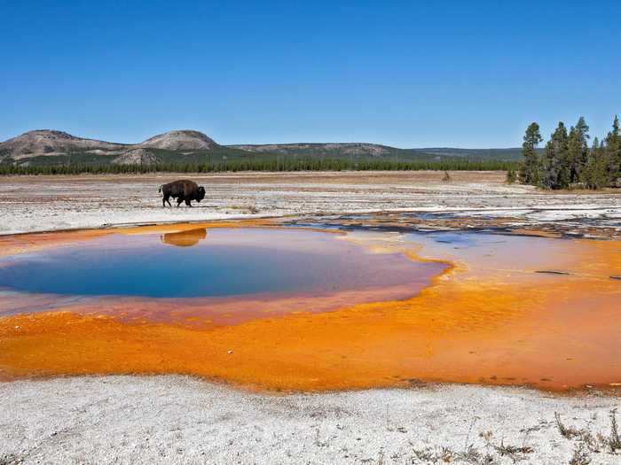 Take a guided virtual walking tour through one of many US national parks, from the Badlands to Yellowstone.