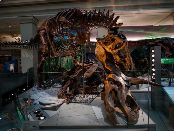 Several exhibits in the National Museum of Natural History in Washington, DC, can be toured virtually.