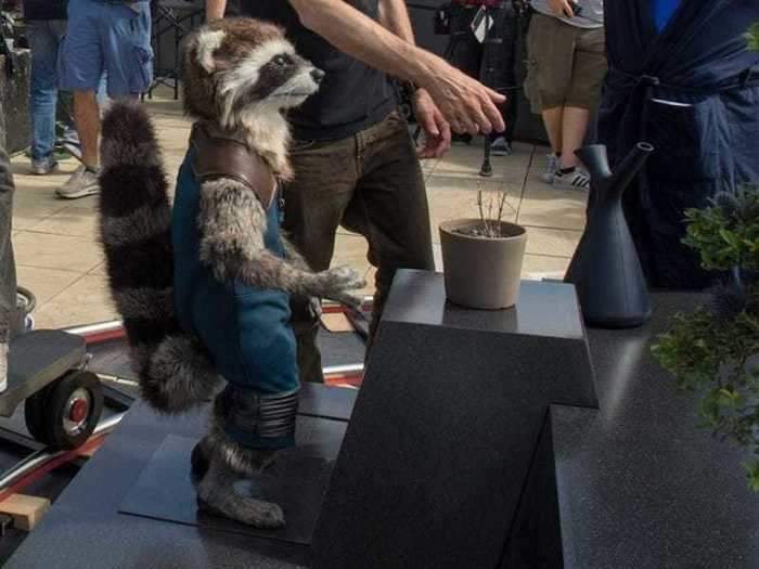 Rocket Raccoon is not only played by two different actors, but also has a plush stand-in on set.