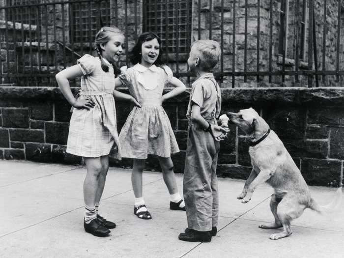 This dog is sneaking a treat while his friend is distracted.