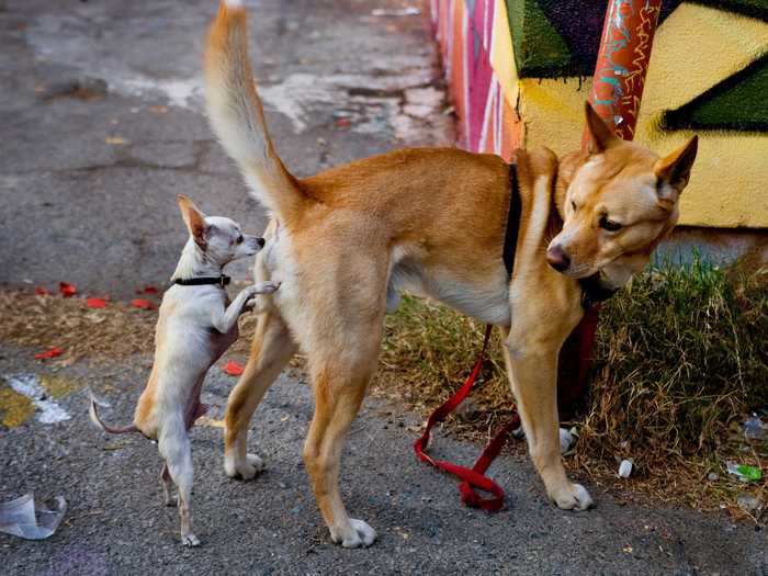 This little guy is checking out his friend