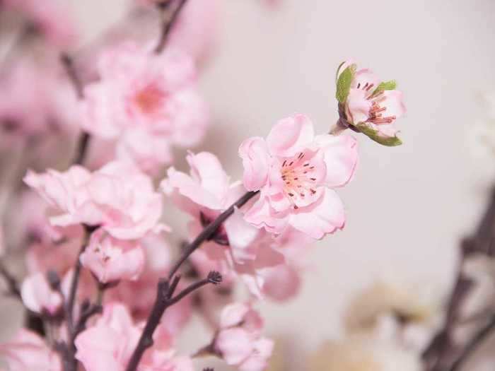 Bride Hannah paid for a blossom tree centerpiece that "broke before anyone even had a chance to see it."