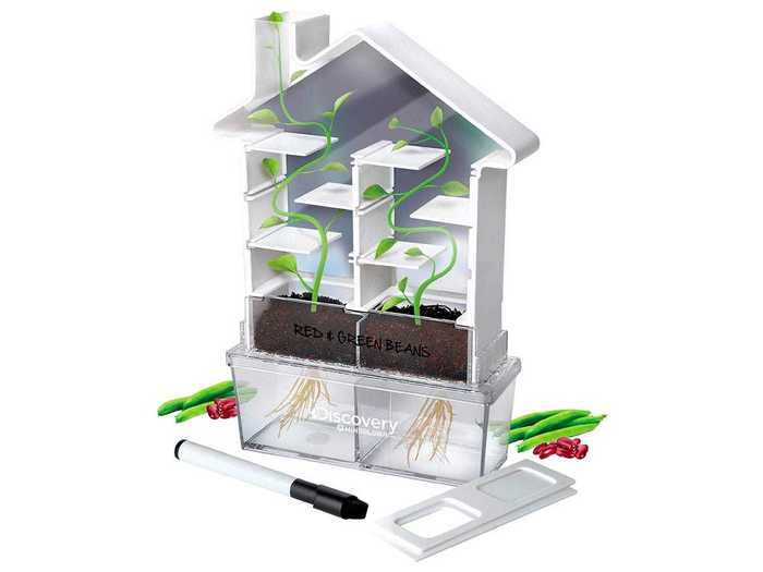 A way to cultivate that green thumb, even while stuck indoors