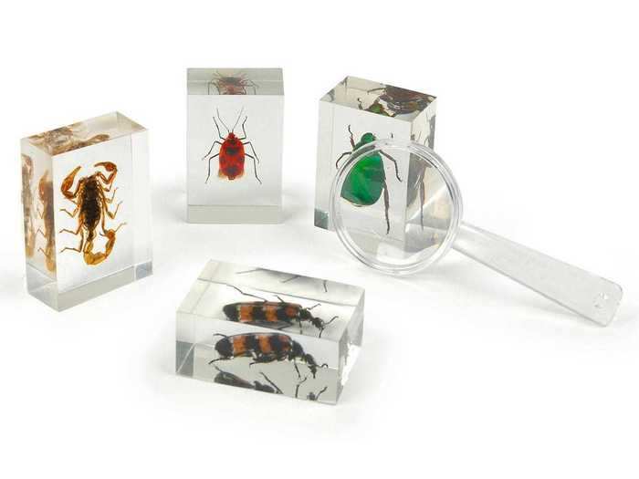 The must-have for any bug-enthusiast