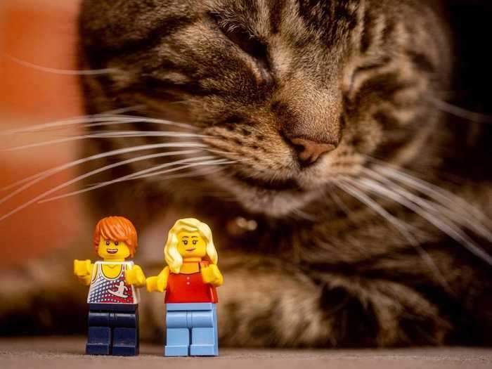 The next day, Florence and Fred moved on to exploring the house, where they visited a brown paper cave and met Toby the cat.