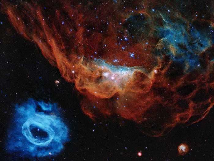 The giant nebula NGC 2014 and its neighbor, NGC 2020, form a "star nursery" where stars are created.