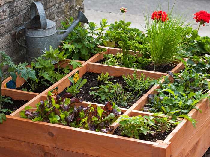 Grow flowers, herbs, vegetables, or simply add greenery to your living space.