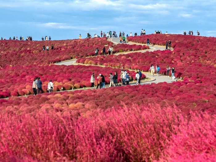 And the beautiful sights at Miharashi Hill don