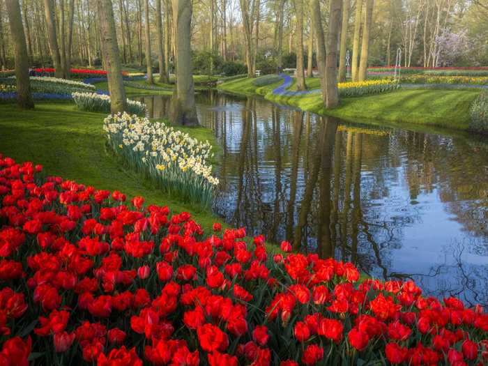 He ate lunch in Keukenhof