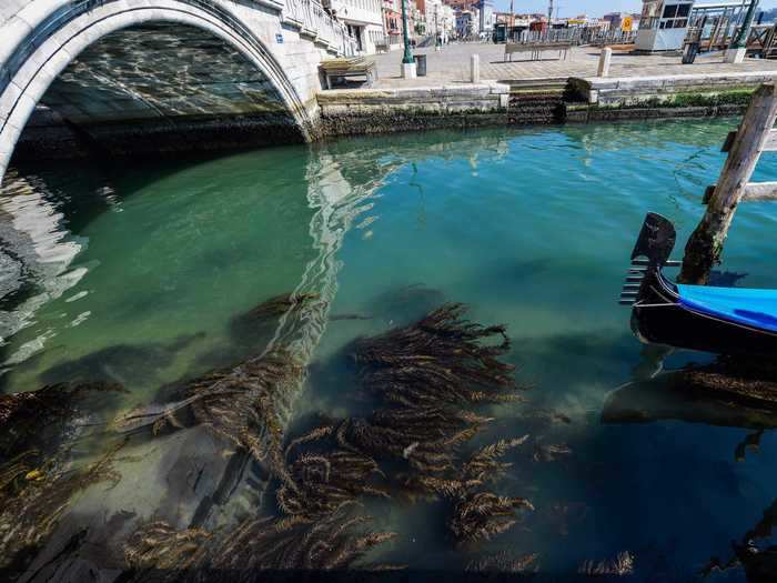 A spokesman for Venice