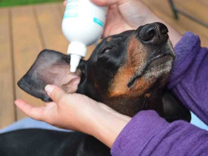 How to apply the ear cleaning solution