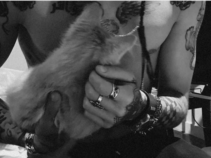 January 2016: Hadid showed a photo of Malik holding her kitten.