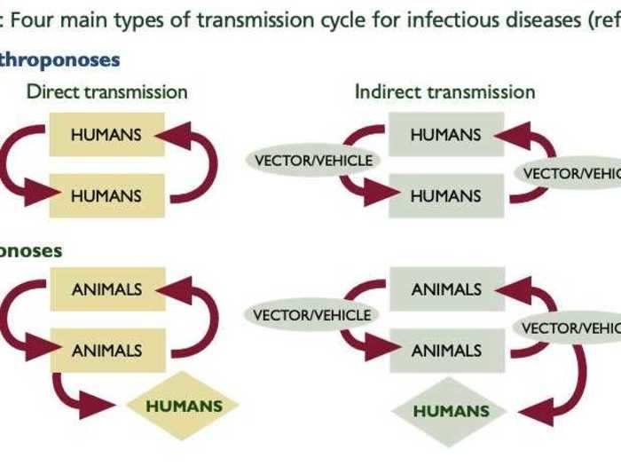 Infectious diseases can spread in multiple ways: from humans to humans, from animals to humans, and from a vector like mosquitoes, for example.