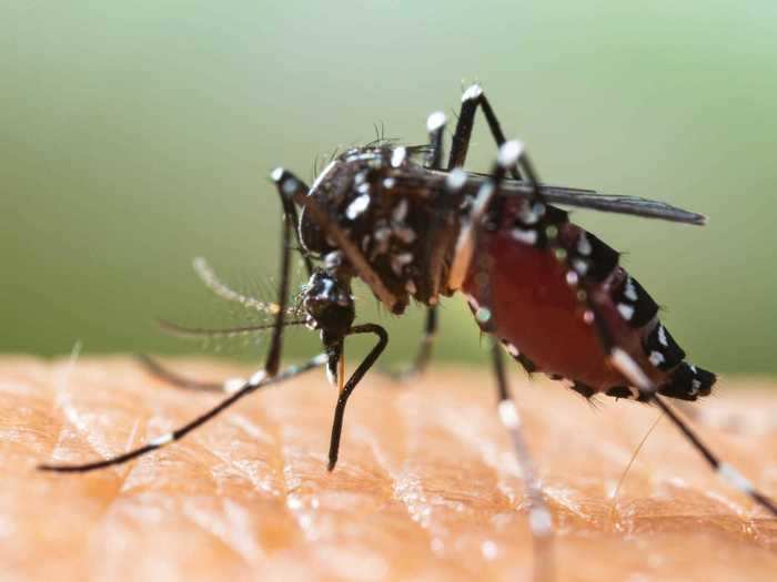 For example, researchers have known that higher temperatures and wetter climates can can lead to an increase in mosquito-transmitted diseases such as malaria.