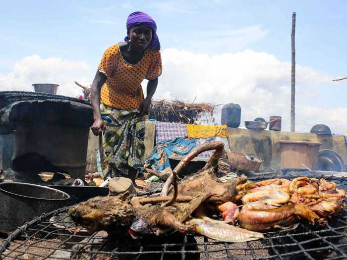 And since climate change is expected to cause an increase in food scarcity, more people in Africa may consume bushmeat, which have been attributed to nearly 50% of Ebola outbreaks in the past.