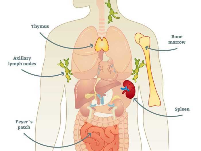 But an increase in the spread of disease isn