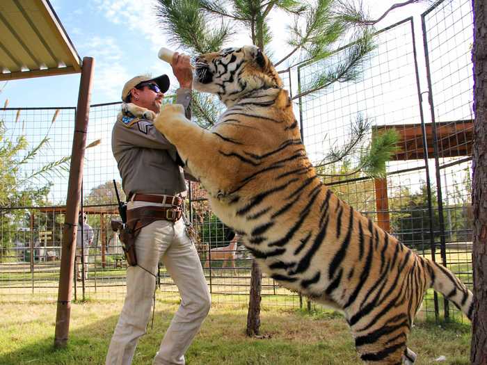 By 2001, Maldonado-Passage had 89 big cats and a thousand other exotic animals in GW Zoo. But big cats are expensive to feed — Mike Tyson once spent thousands a month to feed his own pet tigers —and after a while, Maldonado-Passage ran out of cash.