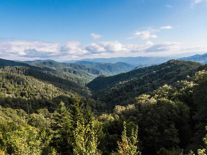 People have witnessed mysterious lights floating around Brown Mountain in North Carolina, leading to a number of conspiracy theories.