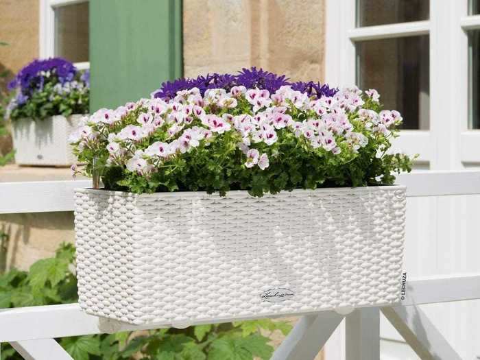 A flower box to grow flowers, herbs, or plants