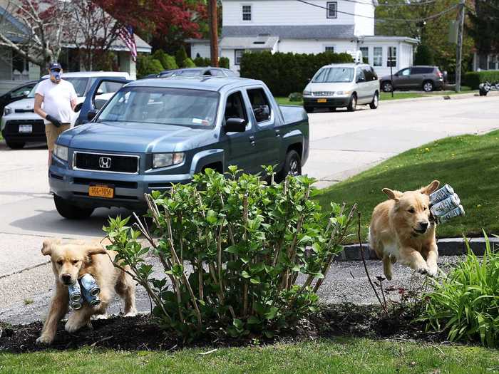 And though the brewery has been struggling amid the pandemic, the Heuwetters have seen an increase in online sales ever since they started taking the dogs out. Customers are even able to request them for deliveries.