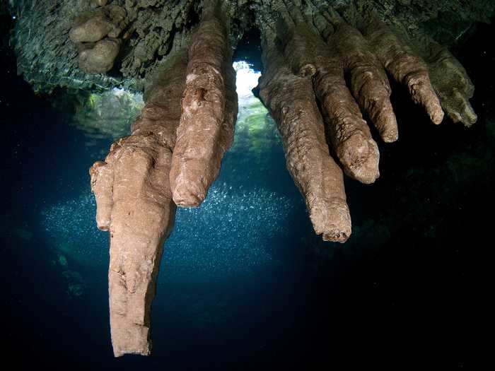 The Cenote de Siete Bocas (Cenote of Seven Mouths) is in Puerto Morelos, Riviera Maya, Mexico.