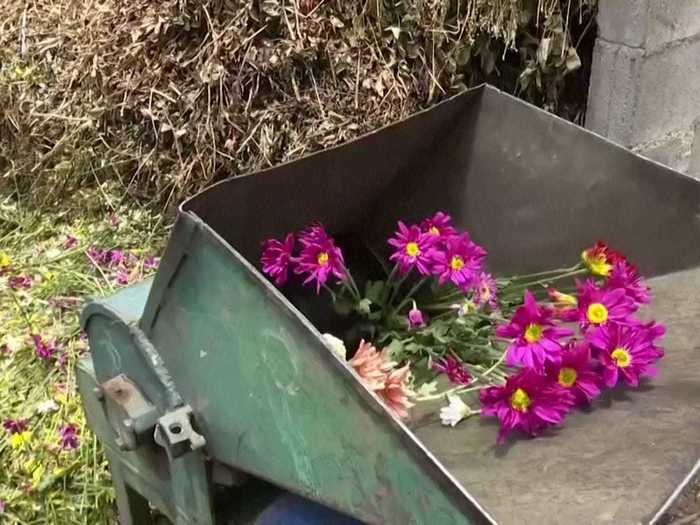 With flower shops closed and celebrations canceled due to coronavirus restrictions, demand for flowers has plummeted.