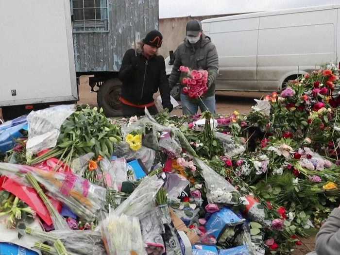 In Russia, 1.2 million roses are being destroyed each day, according to the Russian Greenhouse Union.