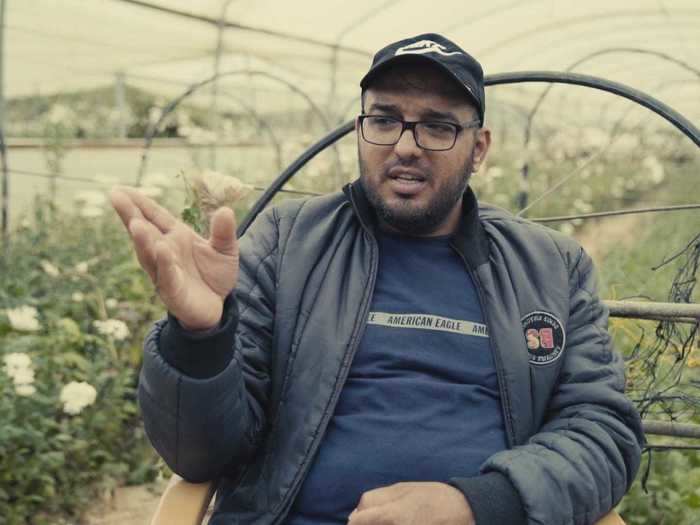 Maher Muhammed Abu Daqa, who owns a flower farm in Khan Younis, Gaza, told Business Insider Today that he discards between 3,000 to 5,000 flowers every day.