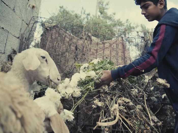 Neighbors often come by and pick up the scraps to feed them to their animals.