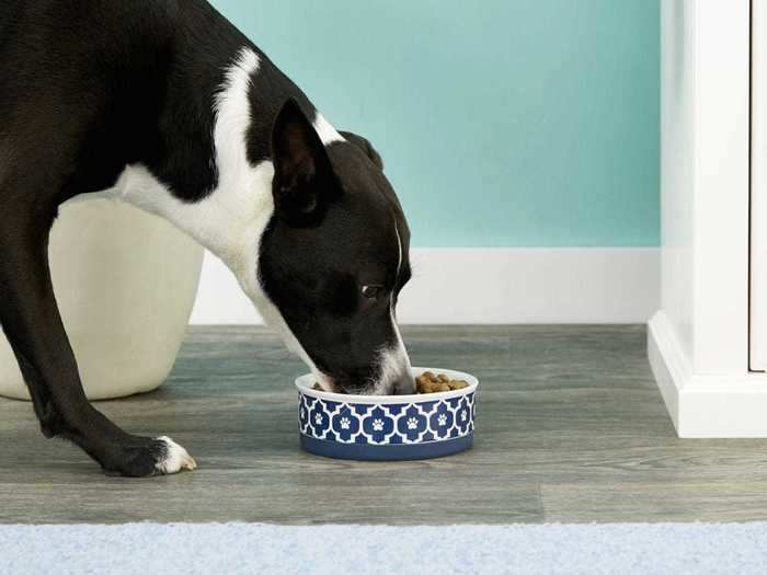 Easy-to-clean bowls for food and water that won