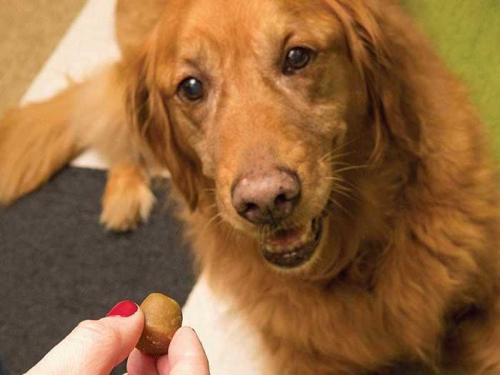 Soft, tasty pill pockets for hiding medication