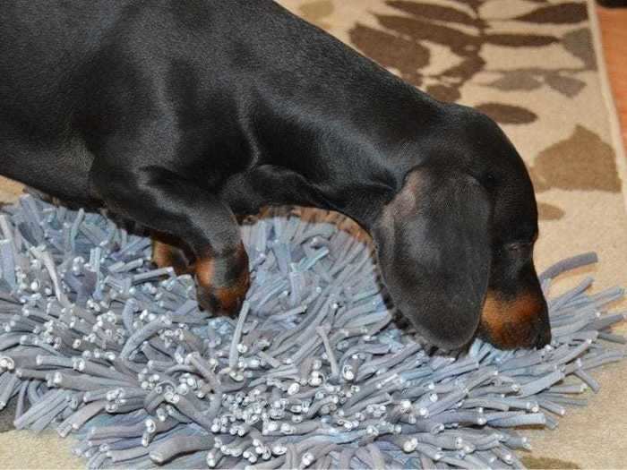 A snuffle mat to encourage a shy dog to come out of their shell