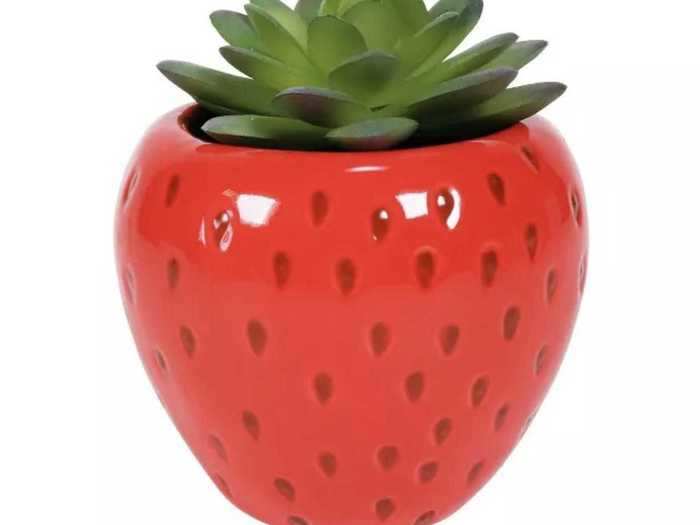 The strawberry succulent looks good enough to eat.