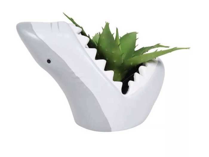 This fun shark succulent has just the right amount of kitsch.