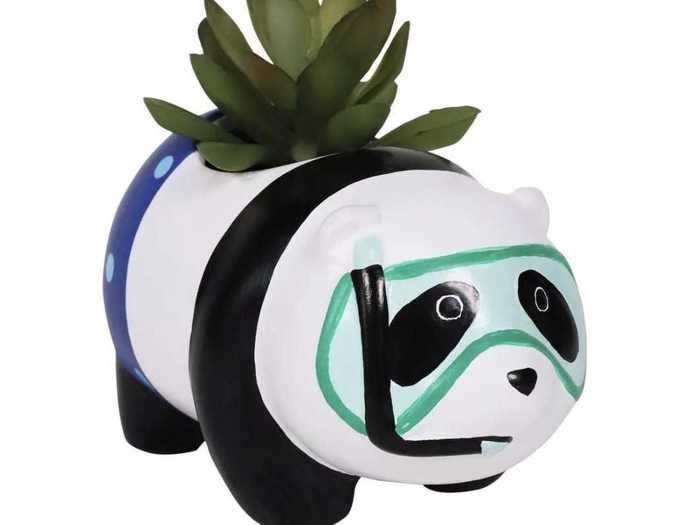 Have a panda pool party with this panda succulent.
