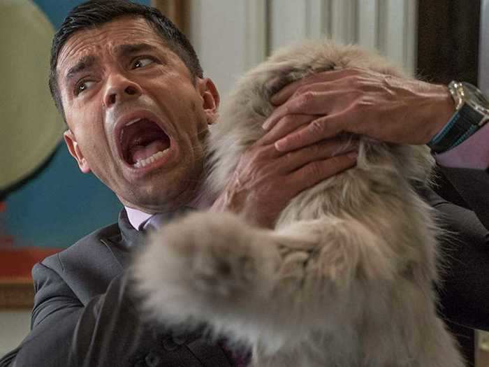 Mark Consuelos — "Nine Lives" (2016)