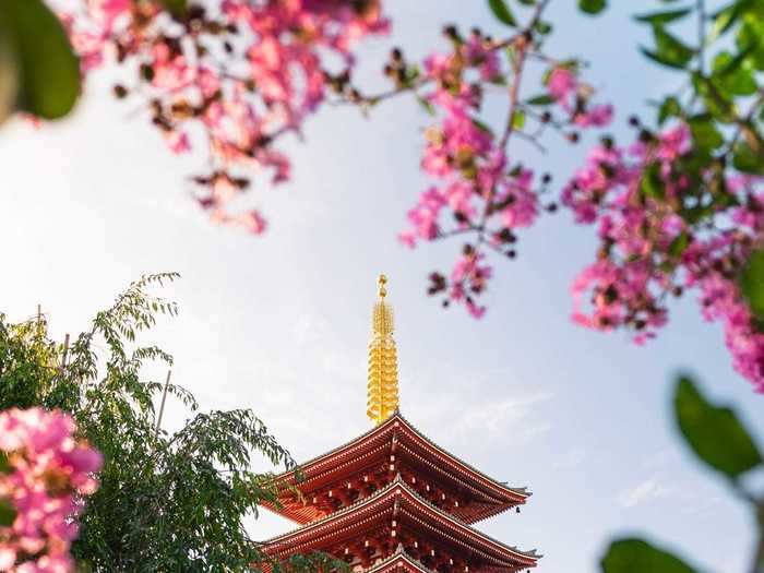 "Beautiful spring morning in Tokyo" by Alvaro Valiente