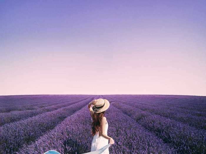 "Lands of Lavender" by Liam Man