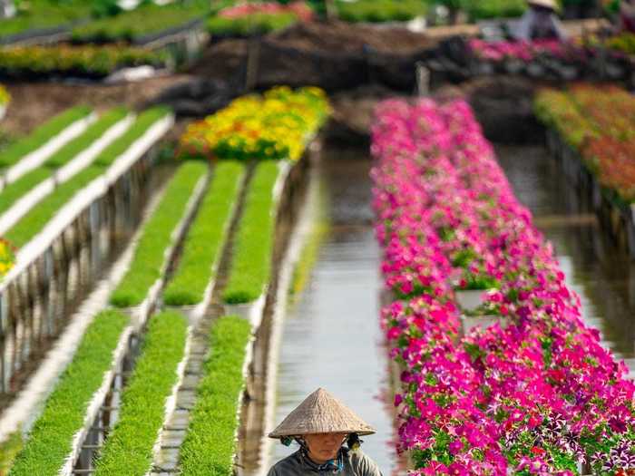 "Taking care of flowers" by Trung Anh