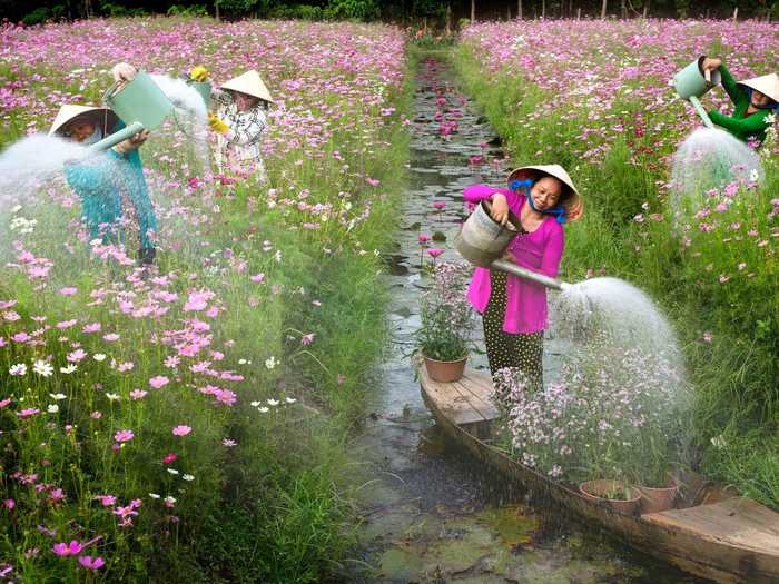 "Watering flowers" by Bùi Gia Phú