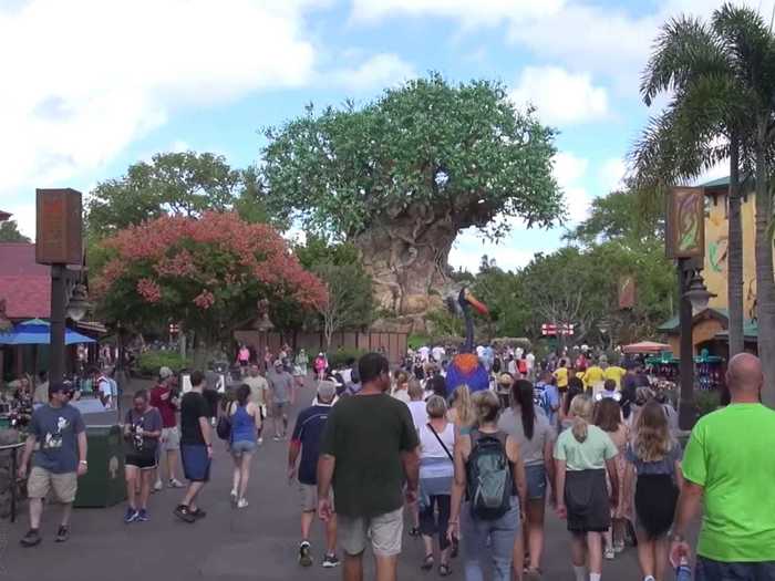 Virtually stroll through the parks by watching tours on YouTube.