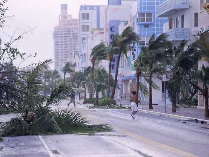 Andrew negatively impacted both the economy and environment of Florida.