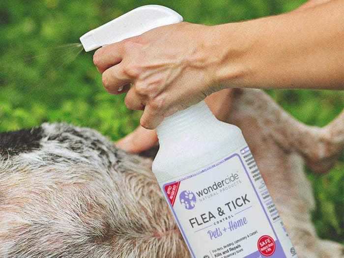 A natural flea and tick spray for your pets