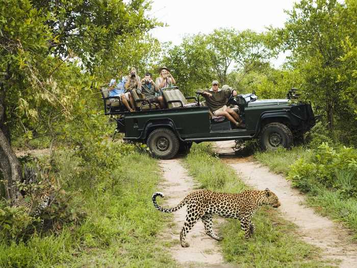 ... as well as two game drives daily in open Land Rovers. Private game drive vehicles can be booked in advance for an additional $460 per day.